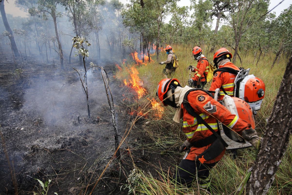 Política: ALEMS análisa criação de processo seletivo para bombeiros temporários