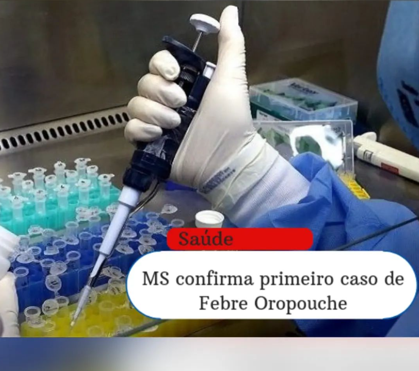 MS confirma primeiro caso de Febre Oropouche 